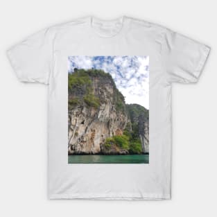 Beautiful Cliff, Ocean, Beach T-Shirt